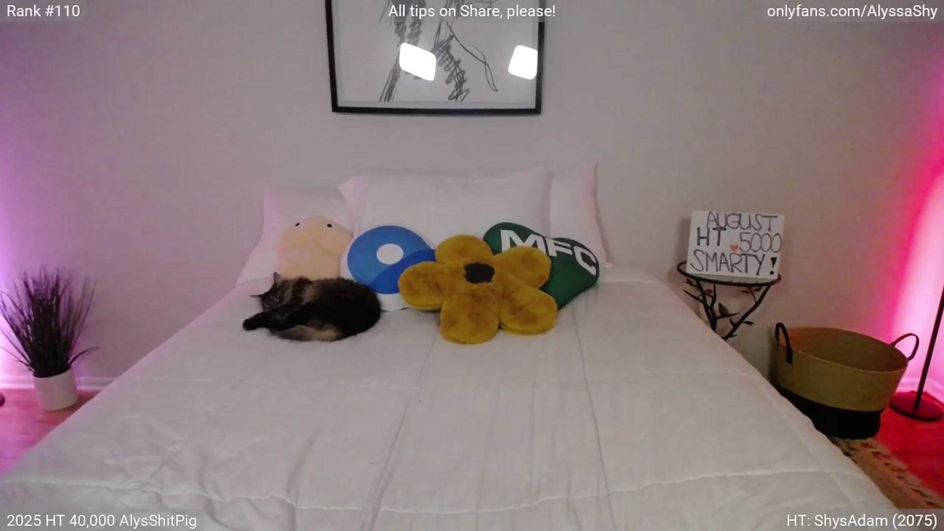 Gallery image thumbnail from AlyssaShy's myfreecams stream on, 08/09/2025, 04:04 image 16 of 20