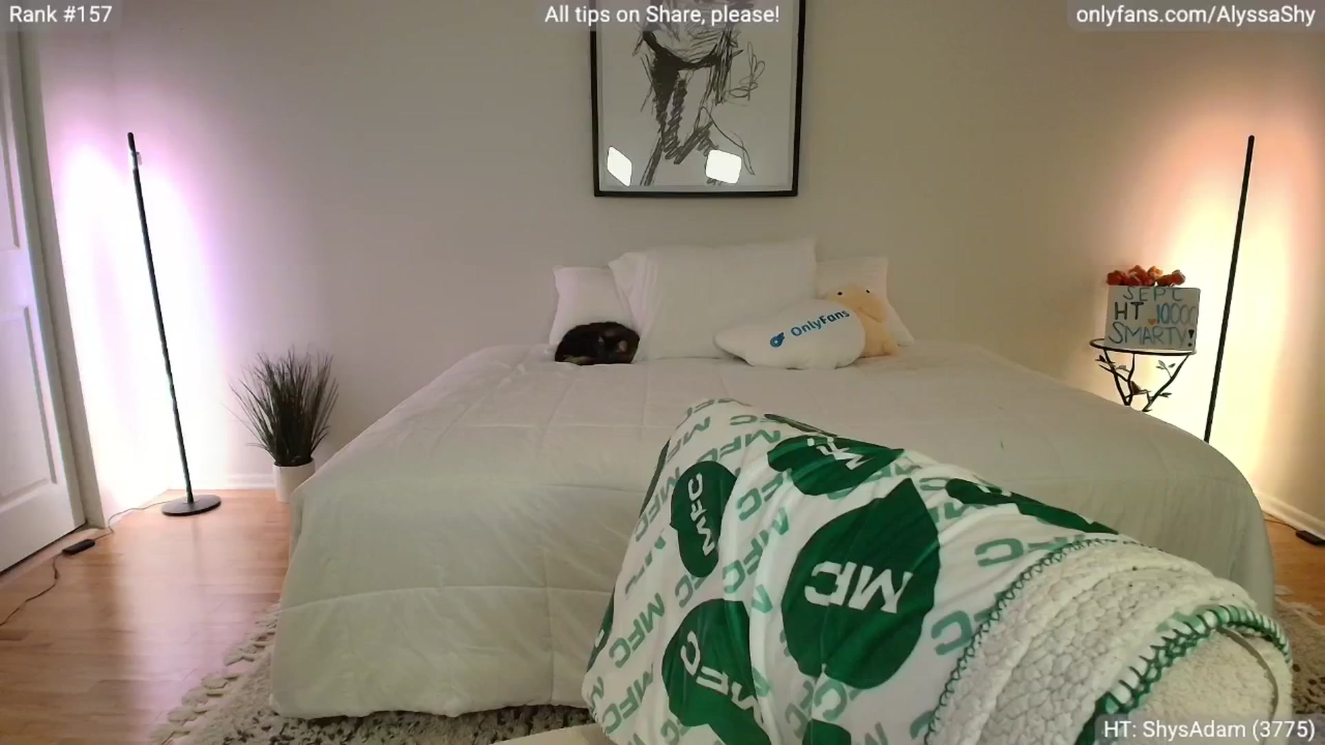 Gallery image thumbnail from AlyssaShy's myfreecams stream on, 09/19/2025, 24:32 image 16 of 20