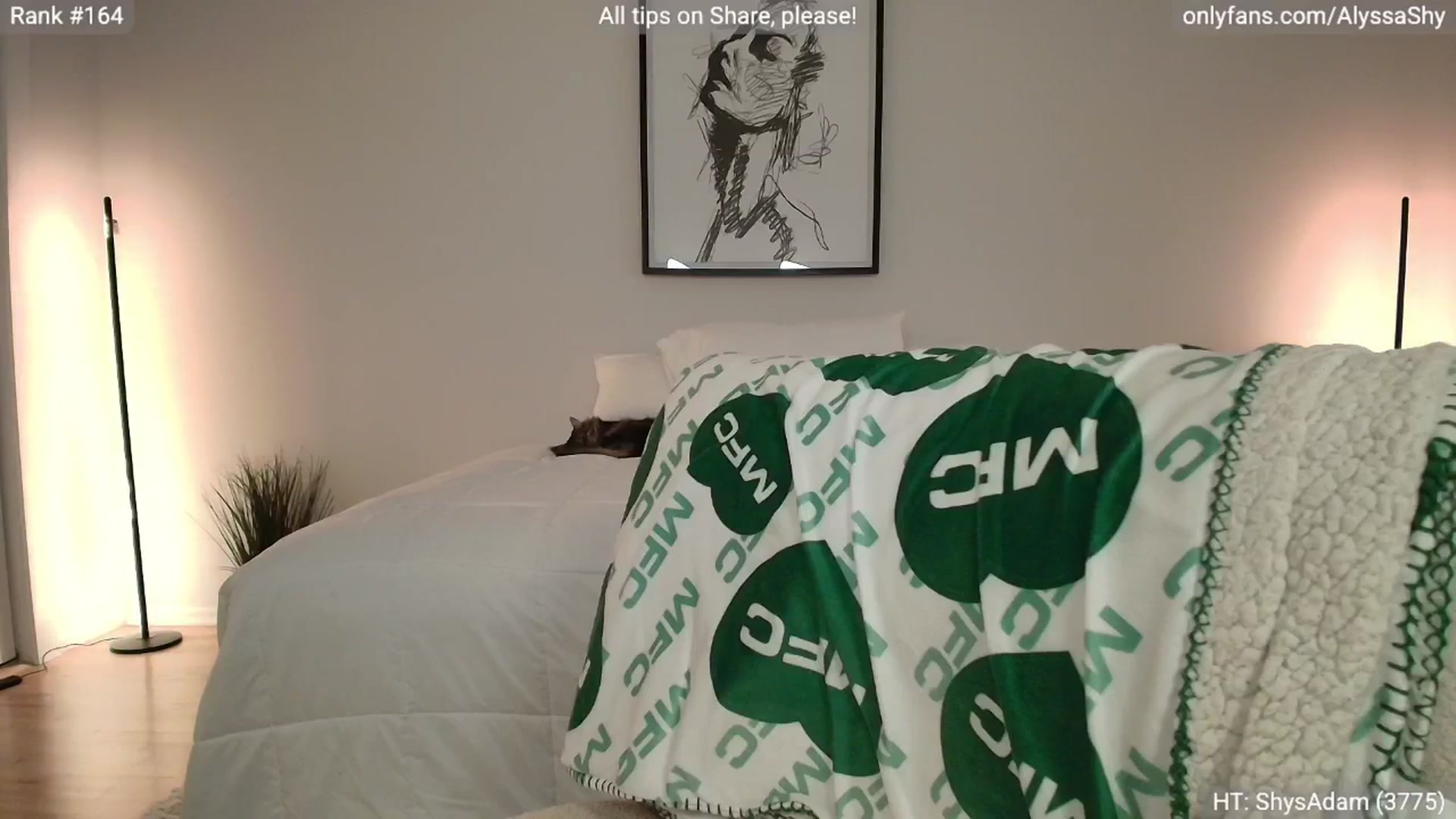 Gallery image thumbnail from AlyssaShy's myfreecams stream on, 09/19/2025, 24:32 image 10 of 20