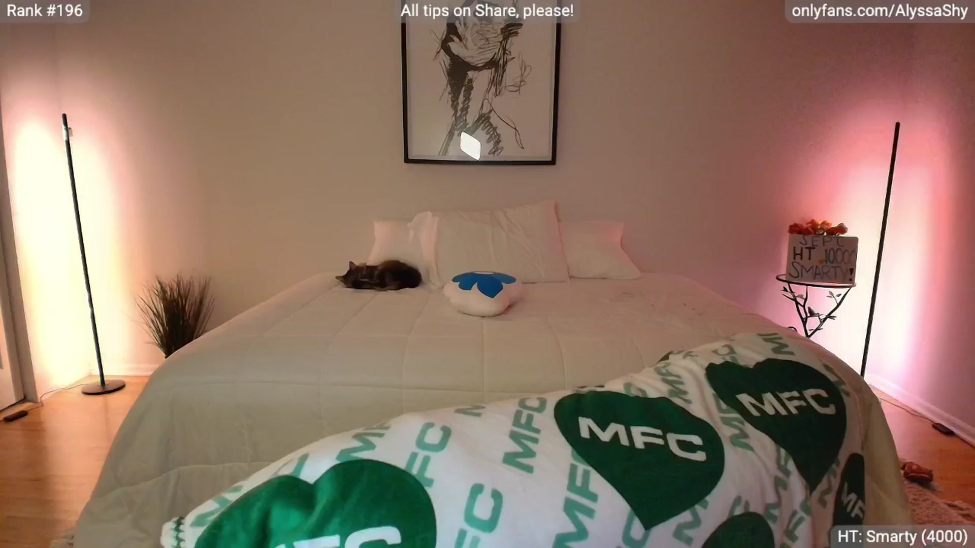 Gallery image thumbnail from AlyssaShy's myfreecams stream on, 09/28/2025, 24:01 image 14 of 20