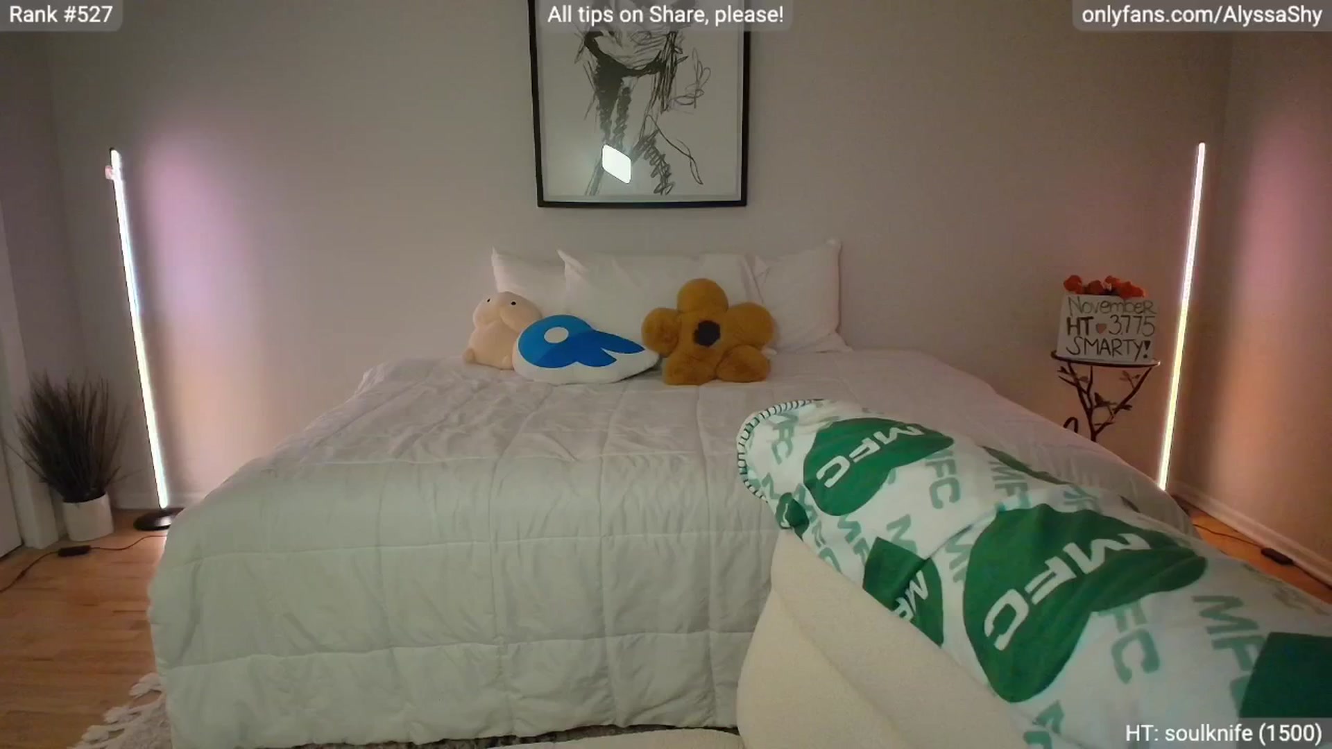 Gallery image thumbnail from AlyssaShy's myfreecams stream on, 11/09/2025, 24:02 image 16 of 20