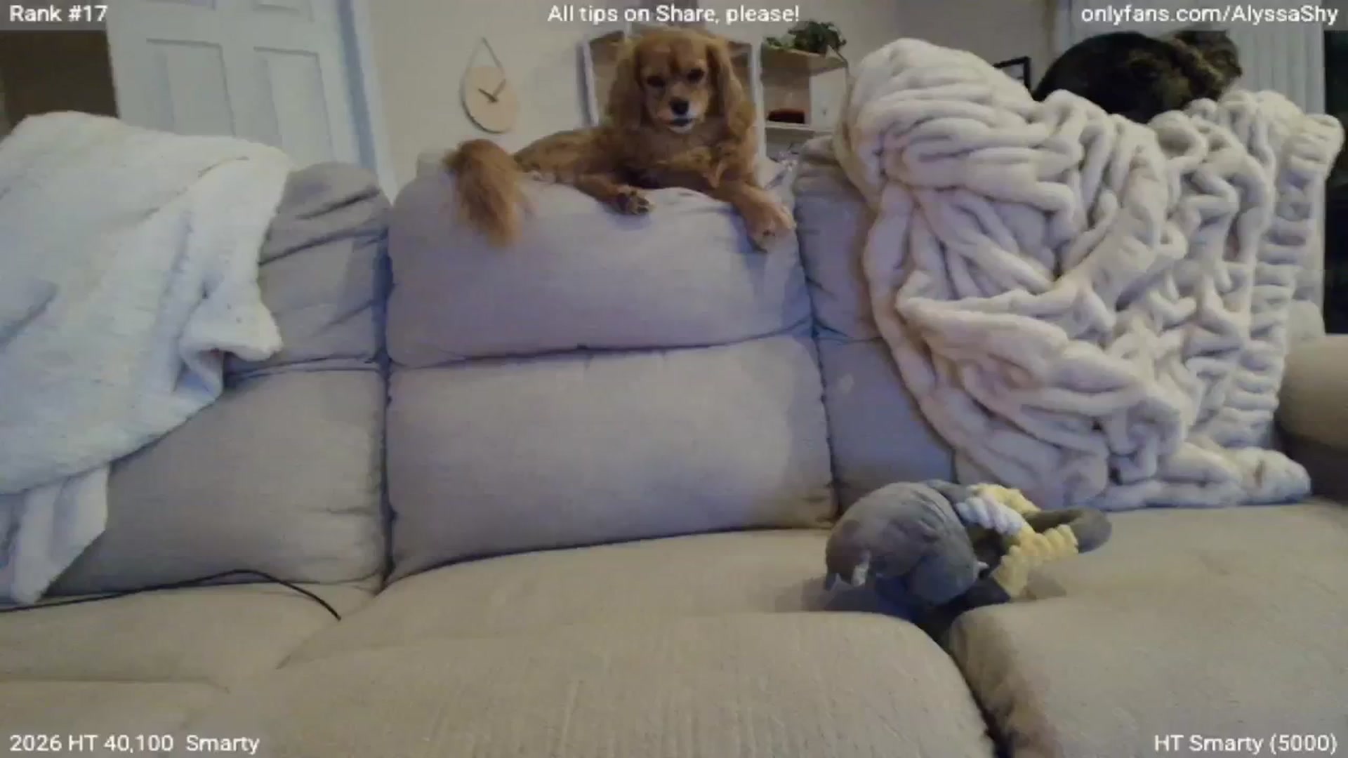 Gallery image thumbnail from AlyssaShy's myfreecams stream on, 03/01/2026, 03:26 image 20 of 20