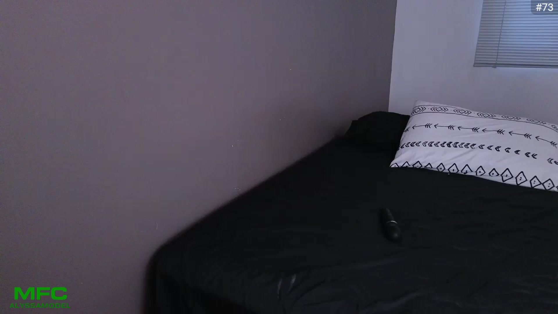Gallery image thumbnail from Alyssamodel's myfreecams stream on, 08/08/2024, 24:20 image 17 of 20