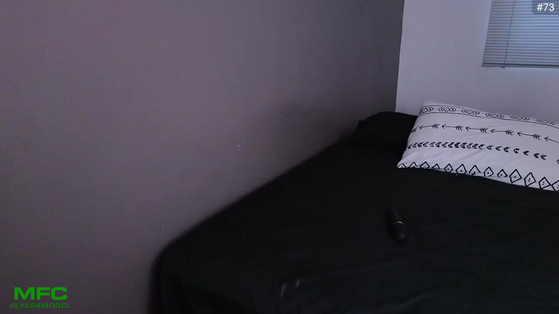 Gallery image thumbnail from Alyssamodel's myfreecams stream on, 08/08/2024, 24:20 image 14 of 20