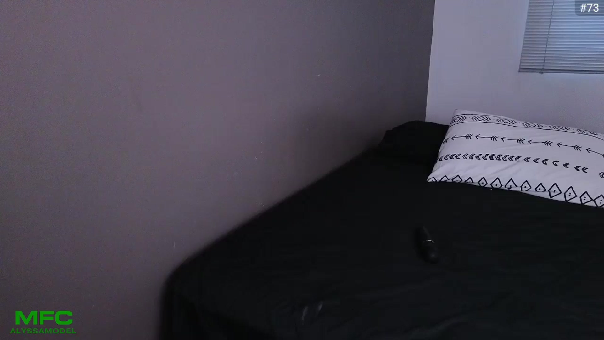Gallery image thumbnail from Alyssamodel's myfreecams stream on, 08/08/2024, 24:20 image 15 of 20