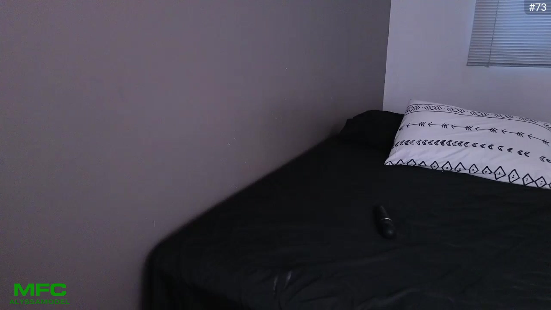 Gallery image thumbnail from Alyssamodel's myfreecams stream on, 08/08/2024, 24:20 image 18 of 20