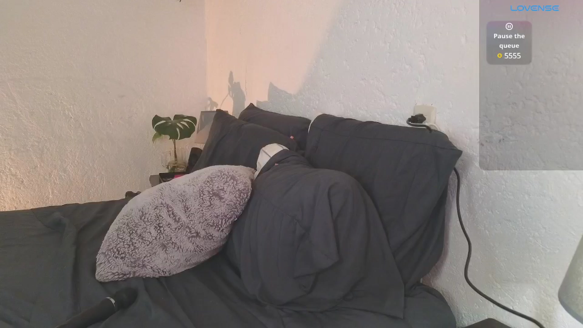Gallery image thumbnail from Alyssamodel's myfreecams stream on, 11/15/2024, 01:19 image 9 of 20