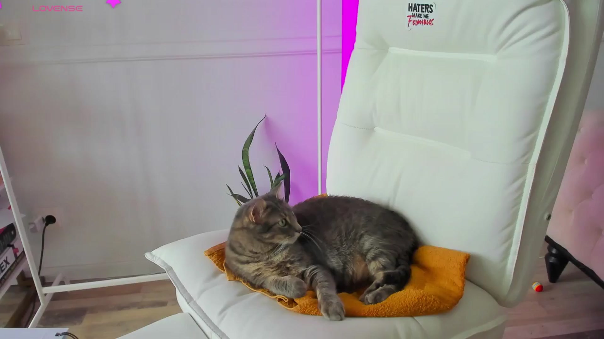 Gallery image thumbnail from AlyssiaKENT1's myfreecams stream on, 12/31/2024, 14:00 image 1 of 20