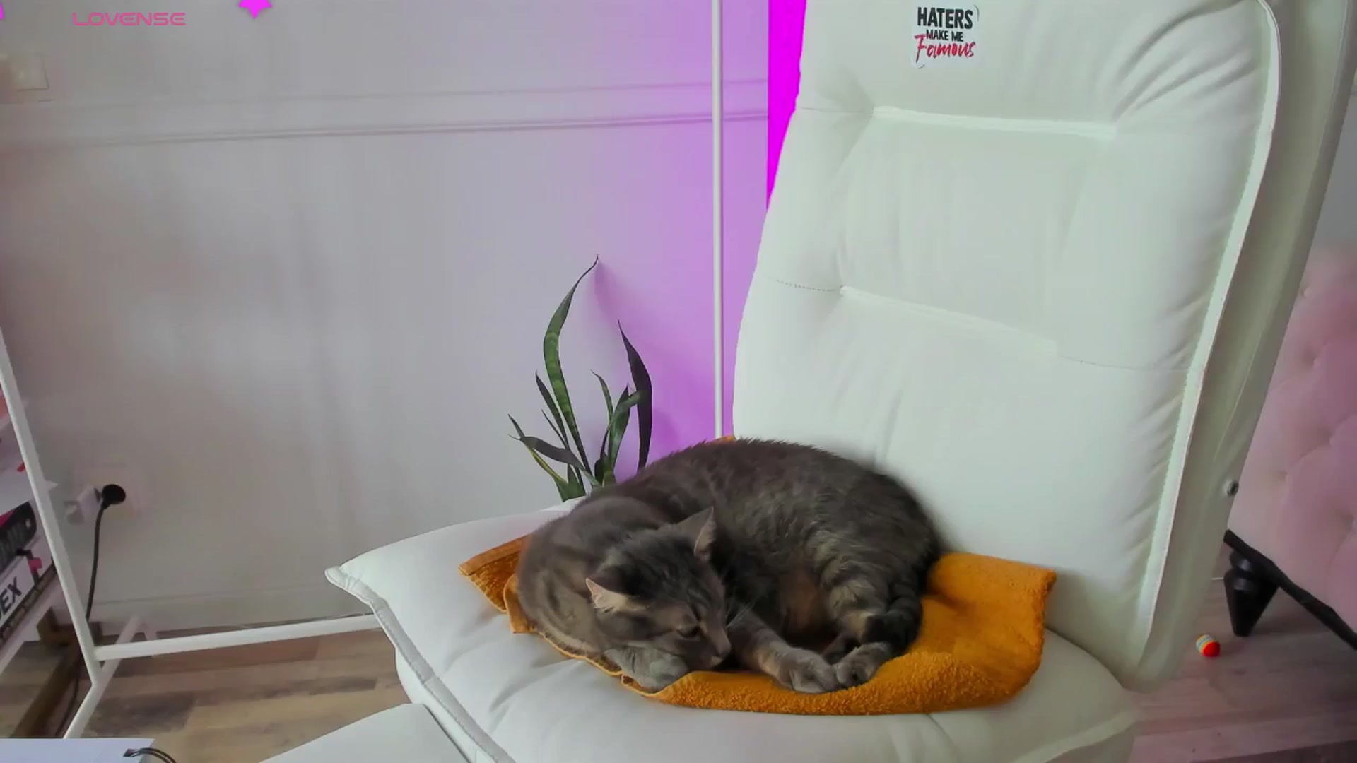 Gallery image thumbnail from AlyssiaKENT1's myfreecams stream on, 12/31/2024, 14:00 image 2 of 20