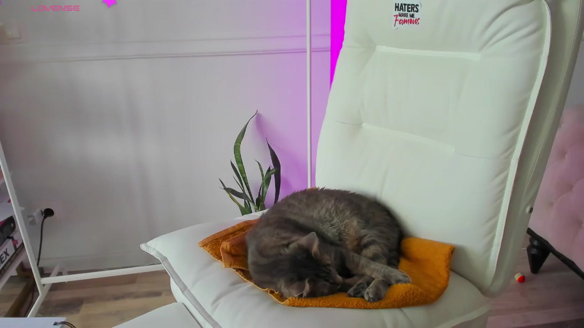 Gallery image thumbnail from AlyssiaKENT1's myfreecams stream on, 12/31/2024, 14:00 image 4 of 20