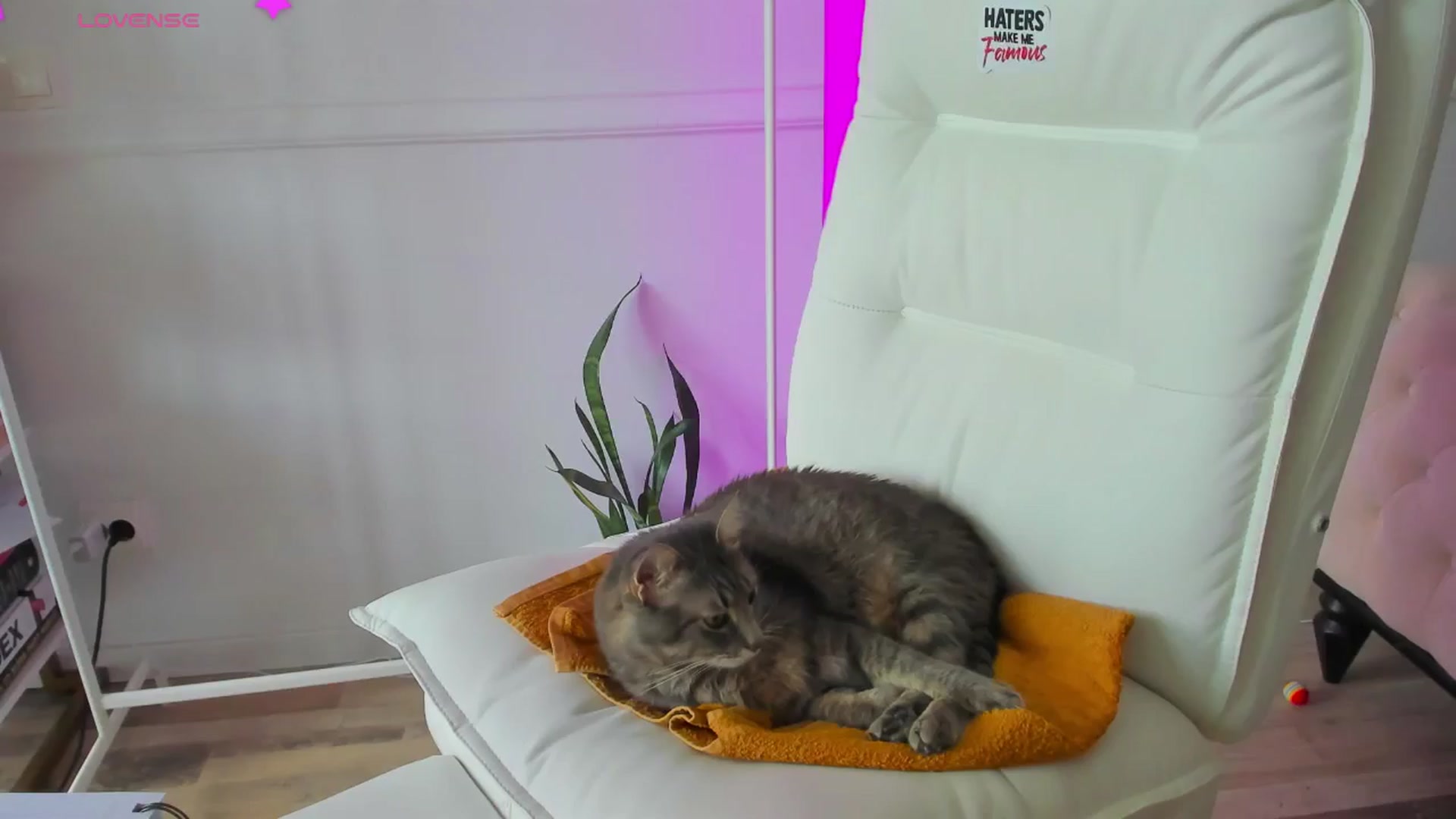 Gallery image thumbnail from AlyssiaKENT1's myfreecams stream on, 12/31/2024, 14:00 image 5 of 20