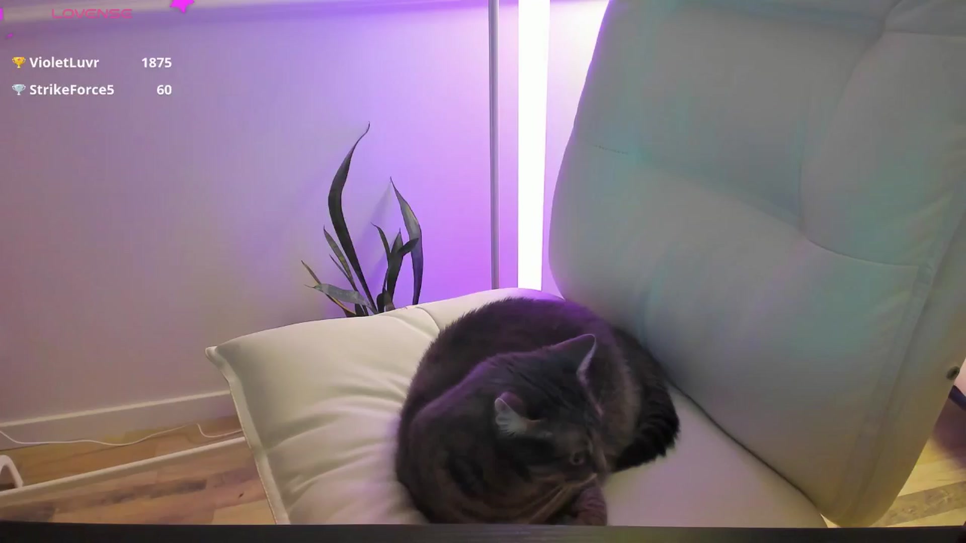 Gallery image thumbnail from AlyssiaKENT1's myfreecams stream on, 01/01/2025, 24:08 image 4 of 20