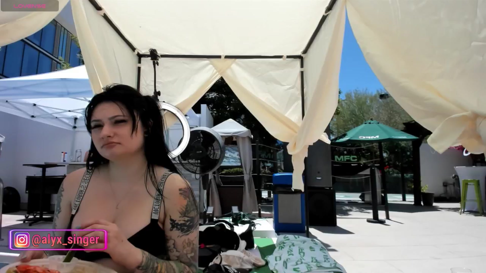 Gallery image thumbnail from Alyx_Singer's myfreecams stream on, 05/21/2024, 20:35 image 19 of 20