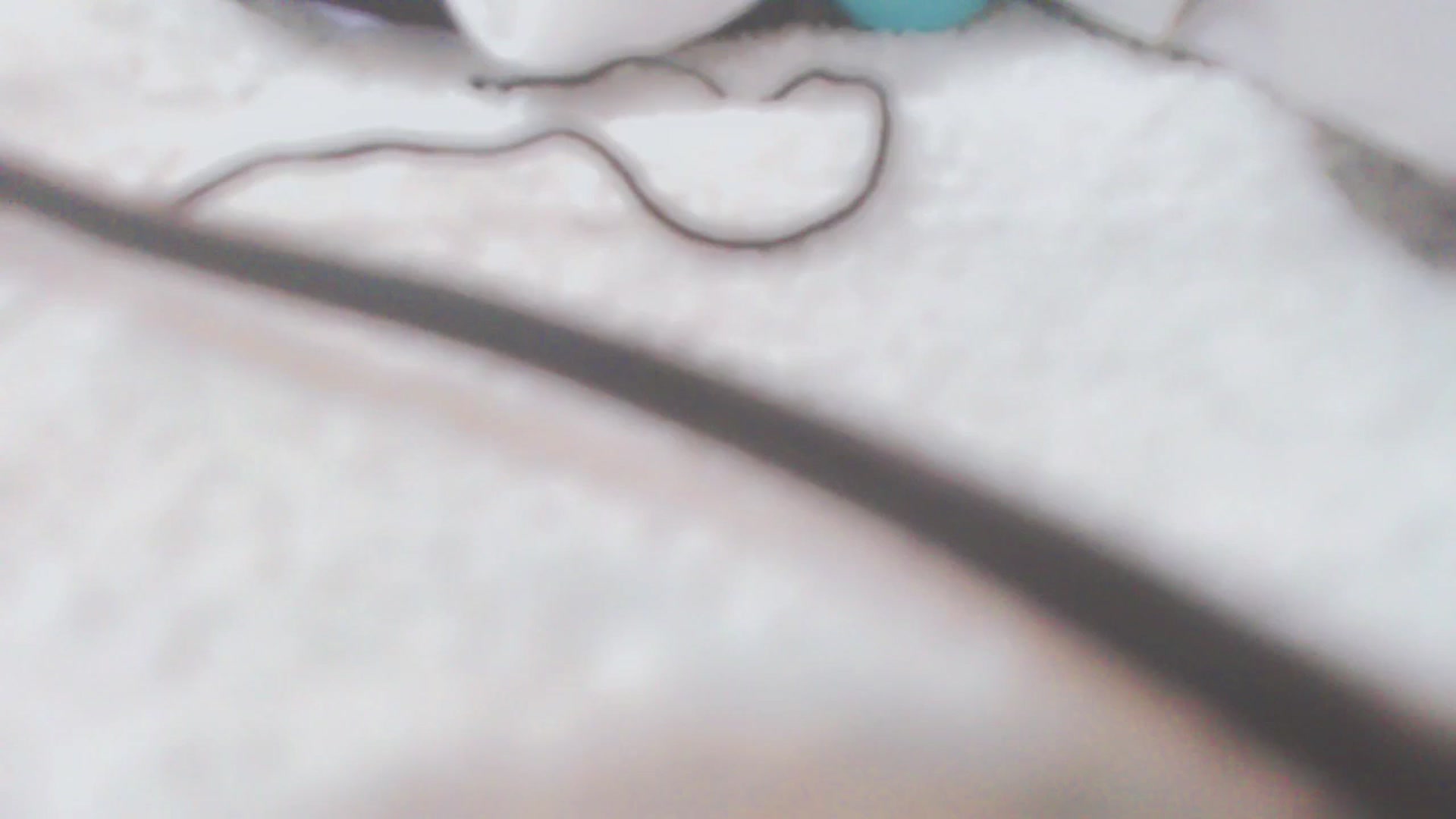 Gallery image thumbnail from AmaiSan's myfreecams stream on, 04/23/2025, 08:21 image 20 of 20
