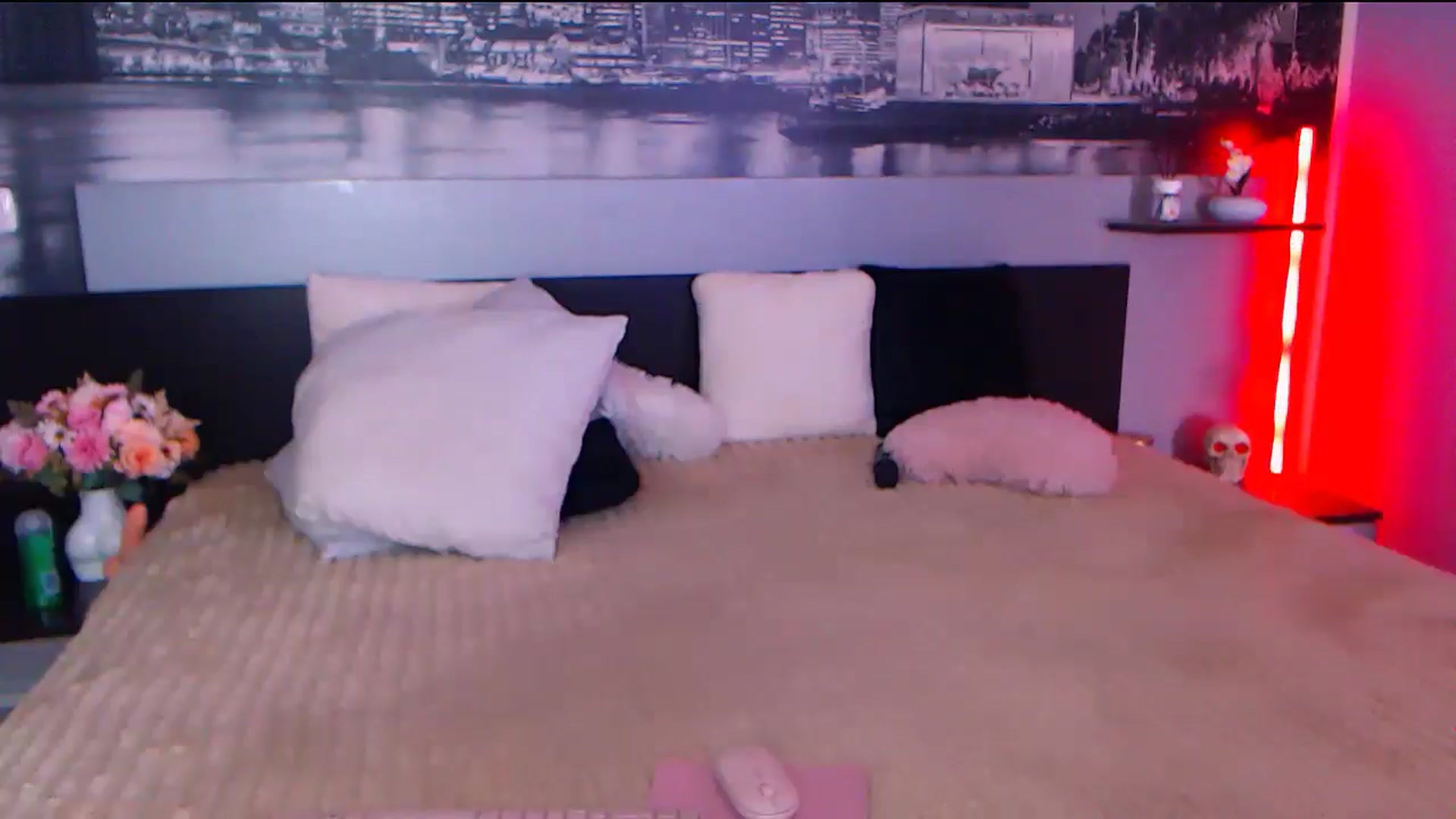 Gallery image thumbnail from AmaliaA's myfreecams stream on, 08/24/2025, 14:22 image 15 of 20