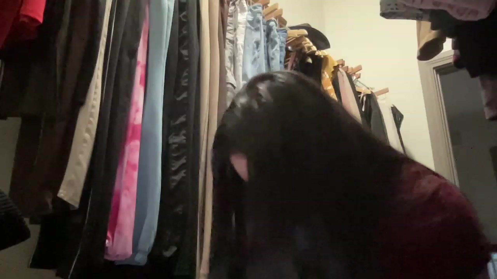 Gallery image thumbnail from Amaya_Flores's myfreecams stream on, 11/23/2022, 02:53 image 1 of 20