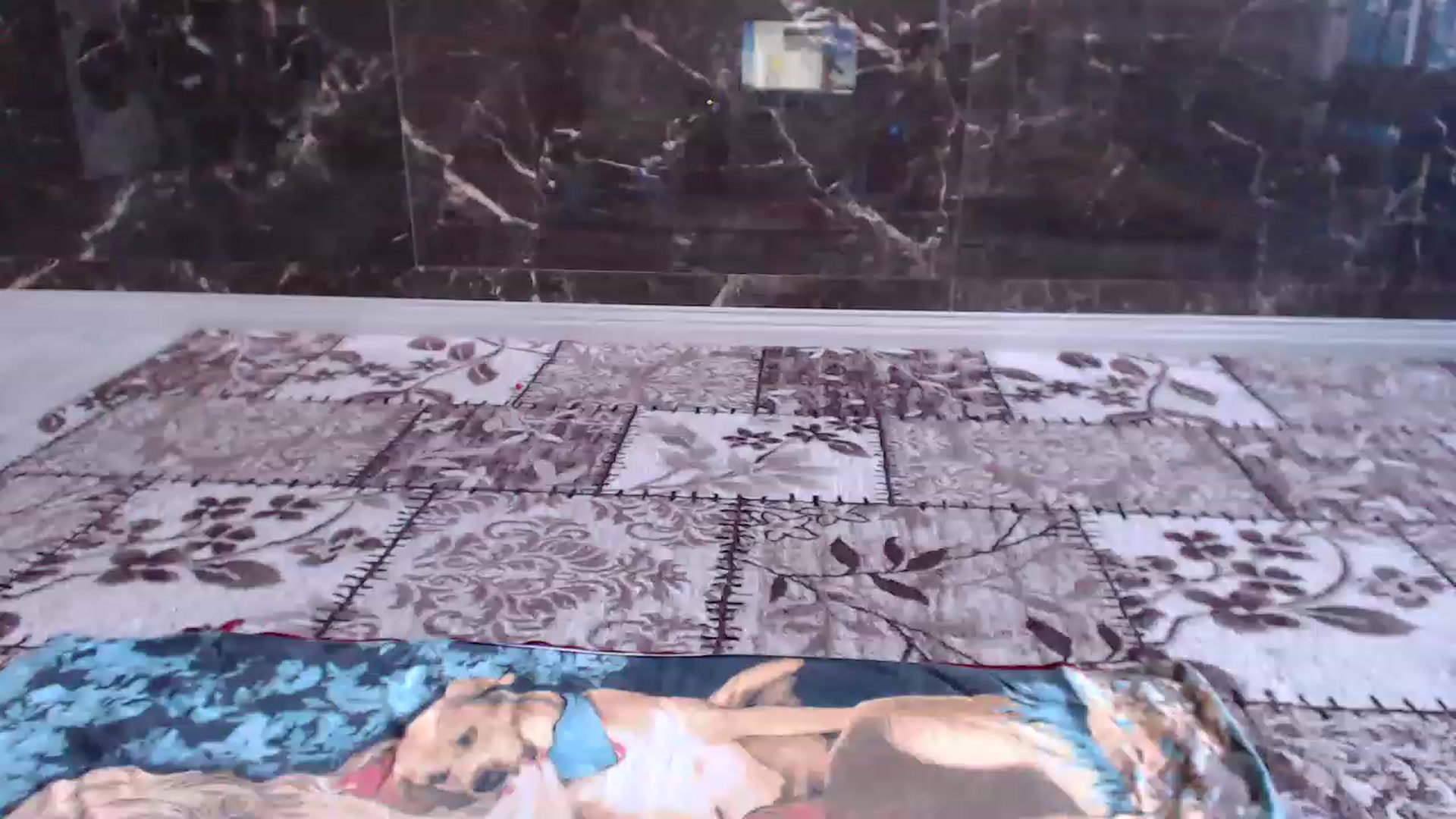 Gallery image thumbnail from AmazinAznLuv's myfreecams stream on, 12/18/2022, 11:10 image 4 of 20