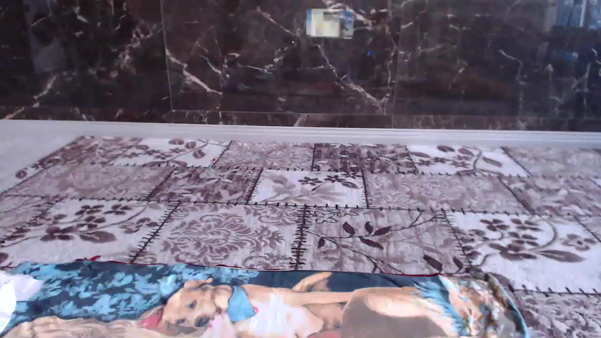 Gallery image thumbnail from AmazinAznLuv's myfreecams stream on, 12/18/2022, 11:10 image 6 of 20