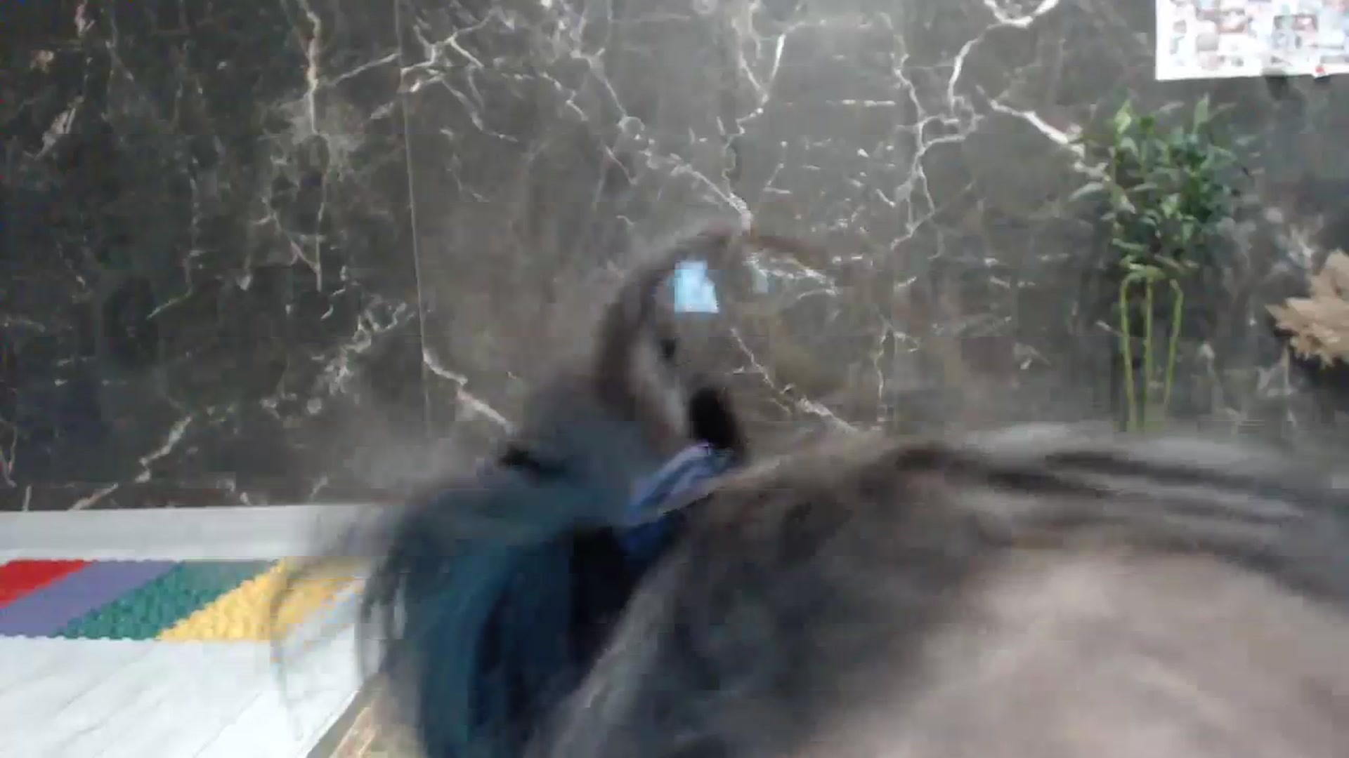 Gallery image thumbnail from AmazinAznLuv's myfreecams stream on, 08/25/2023, 18:27 image 3 of 20