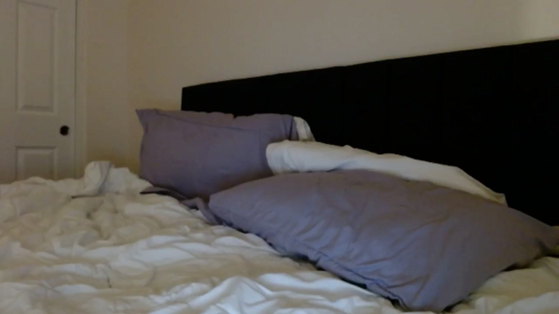Gallery image thumbnail from AmazingZo's myfreecams stream on, 04/30/2025, 13:15 image 6 of 20