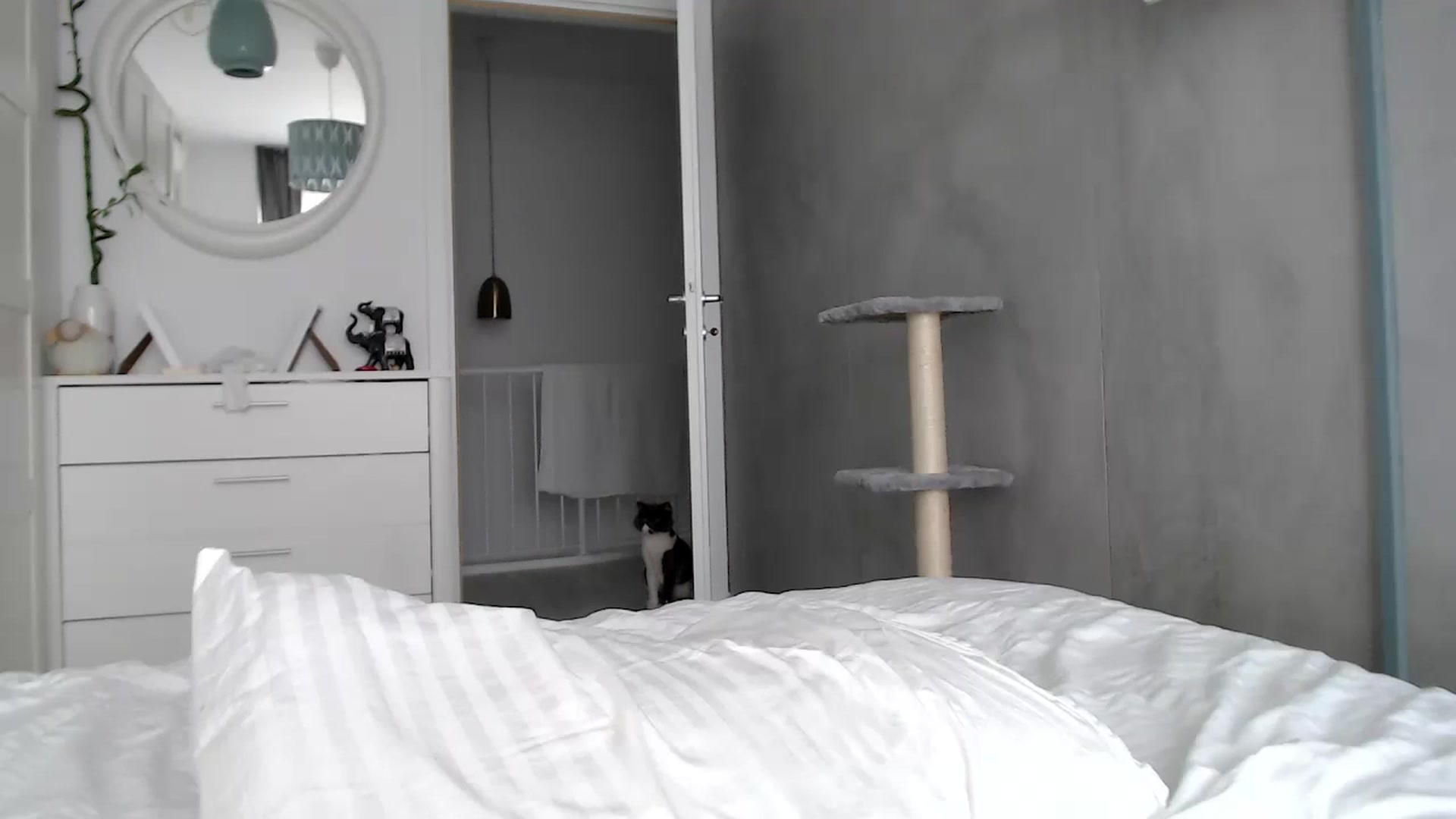Gallery image thumbnail from AmberCherryX's myfreecams stream on, 10/23/2023, 10:15 image 11 of 20