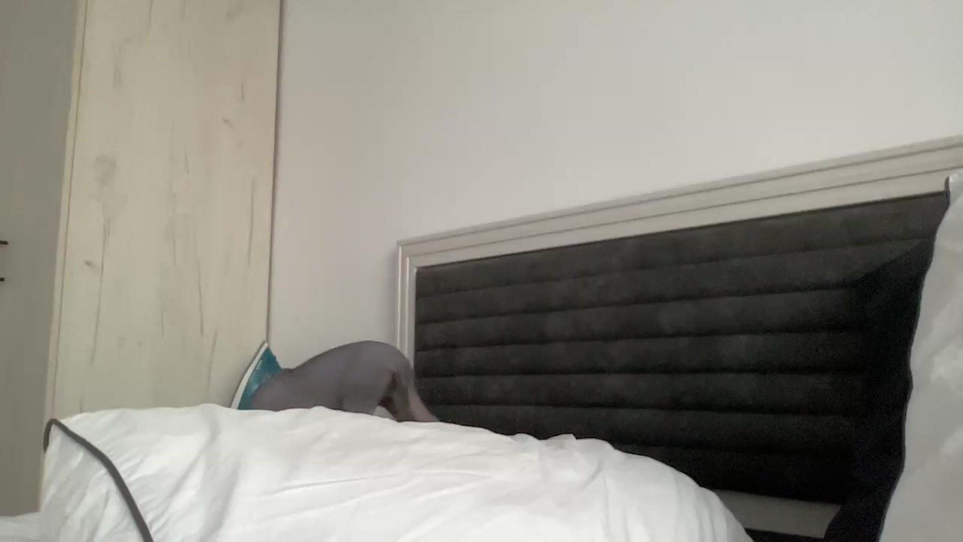 Gallery image thumbnail from AmberHottX's myfreecams stream on, 06/25/2024, 17:33 image 16 of 20