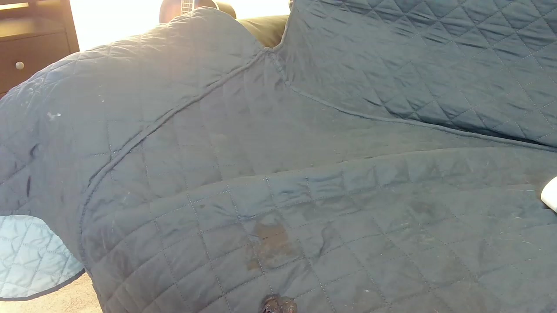 Gallery image thumbnail from AmberPeach's myfreecams stream on, 03/06/2023, 20:50 image 6 of 20