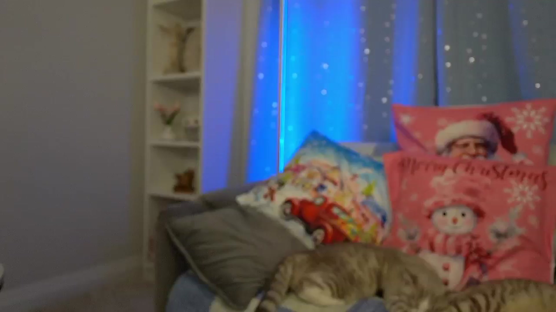 Gallery image thumbnail from AmberPeach's myfreecams stream on, 11/20/2025, 04:06 image 6 of 20