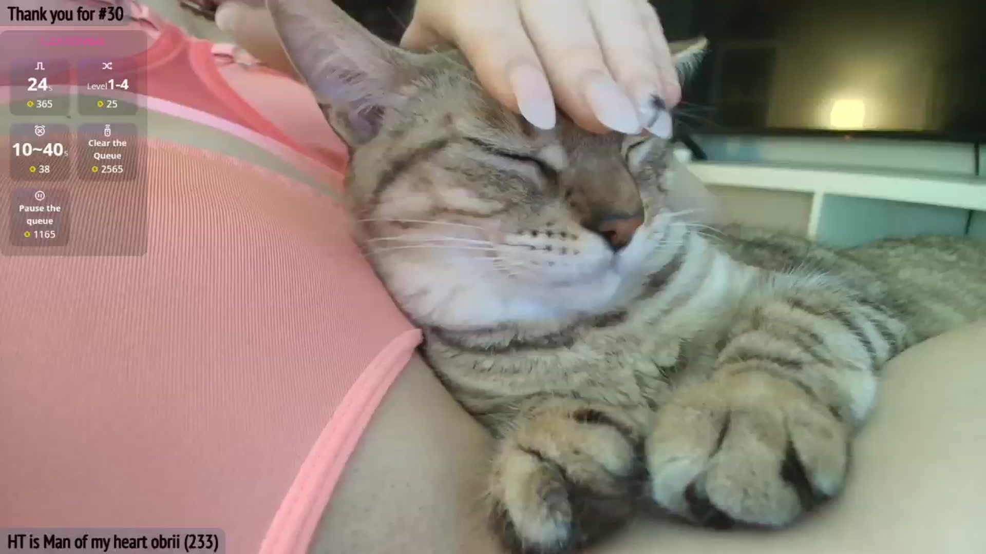Gallery image thumbnail from AmberPeach's myfreecams stream on, 03/06/2026, 05:05 image 9 of 20
