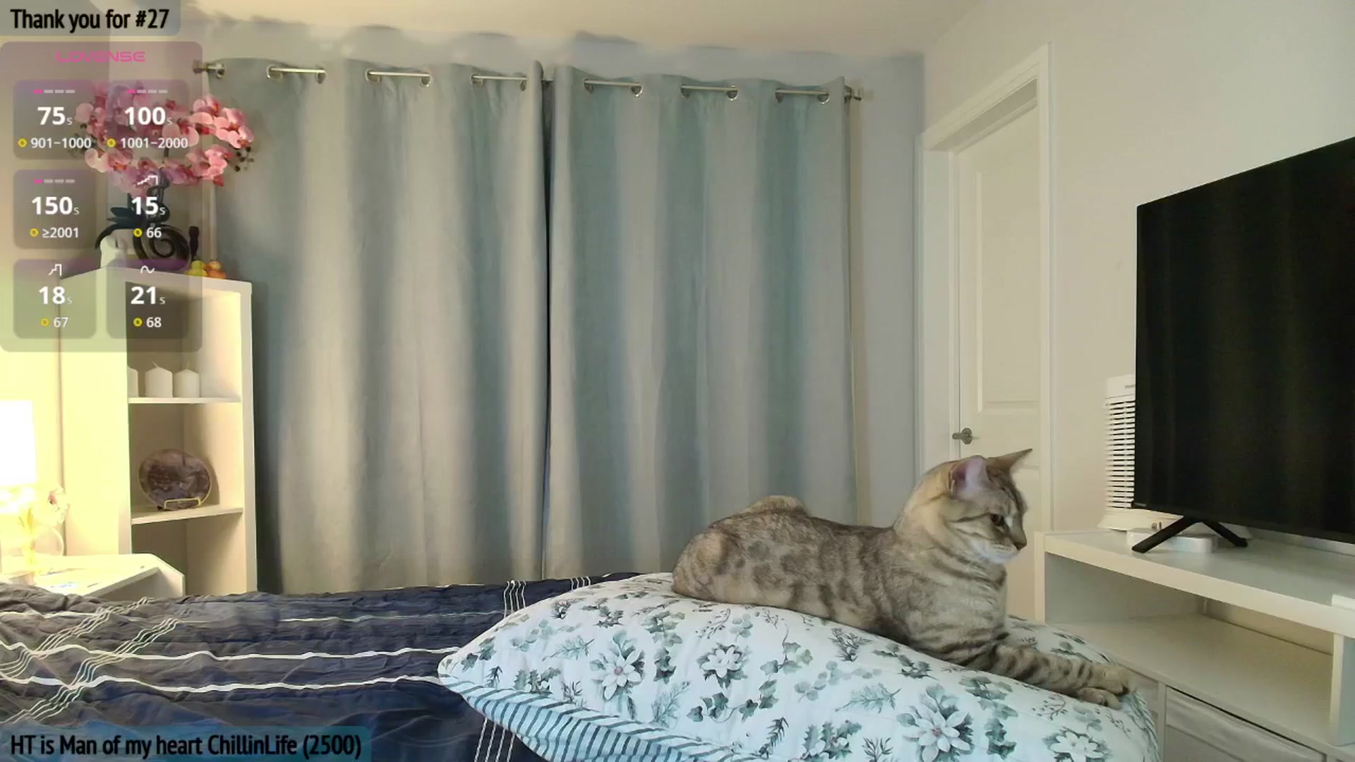 Gallery image thumbnail from AmberPeach's myfreecams stream on, 03/09/2026, 06:38 image 1 of 20