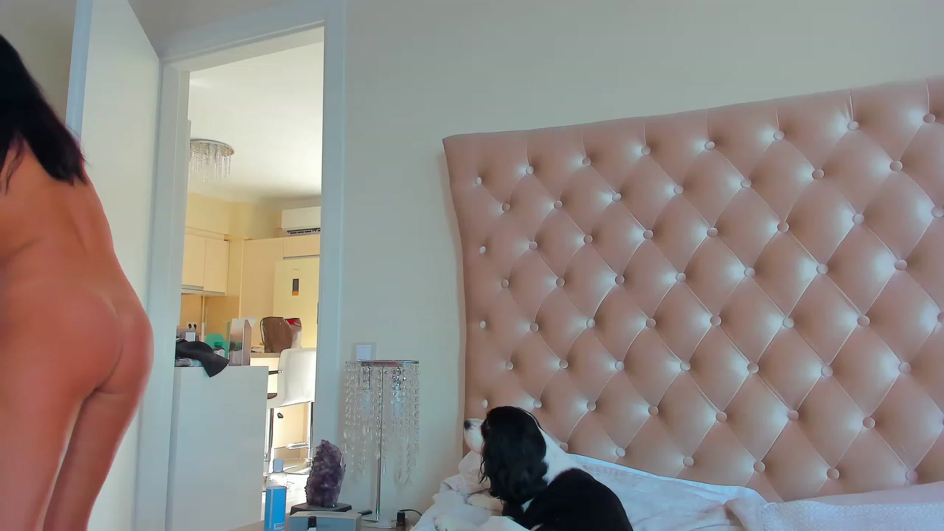Gallery image thumbnail from AmberWTF's myfreecams stream on, 07/15/2023, 16:41 image 1 of 20