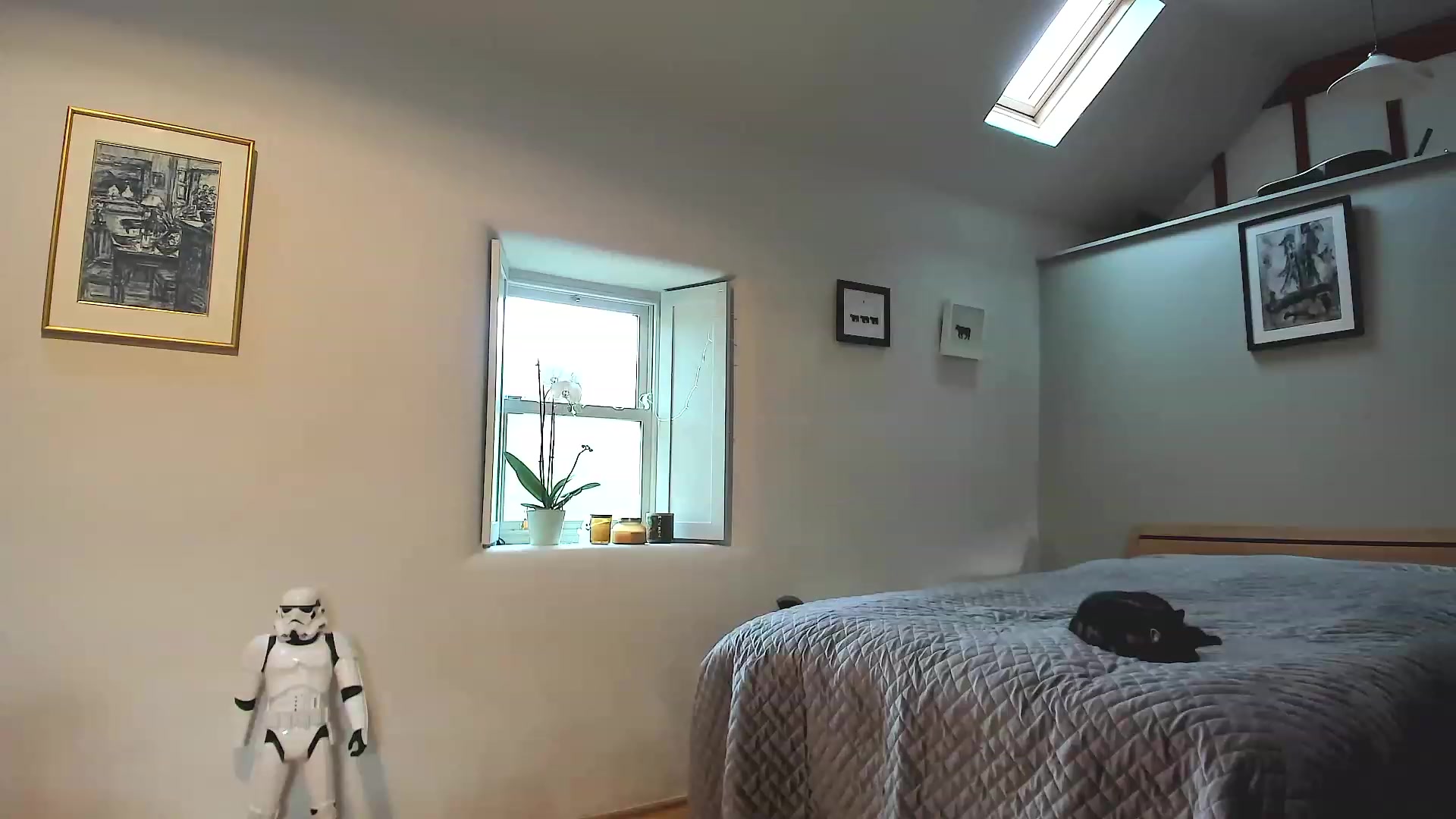 Gallery image thumbnail from Amber_Fry's myfreecams stream on, 11/16/2022, 15:22 image 16 of 20