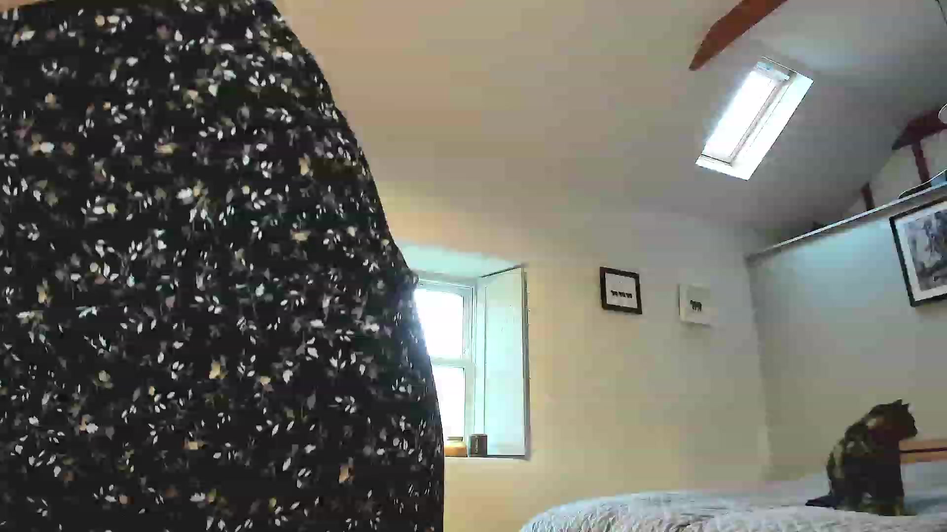 Gallery image thumbnail from Amber_Fry's myfreecams stream on, 11/16/2022, 16:00 image 17 of 20