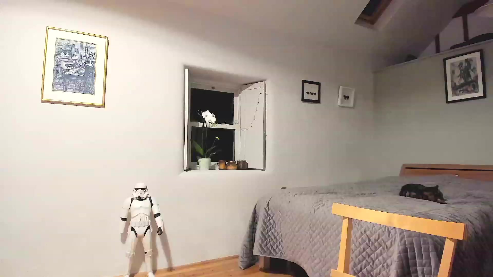 Gallery image thumbnail from Amber_Fry's myfreecams stream on, 11/17/2022, 02:13 image 7 of 20