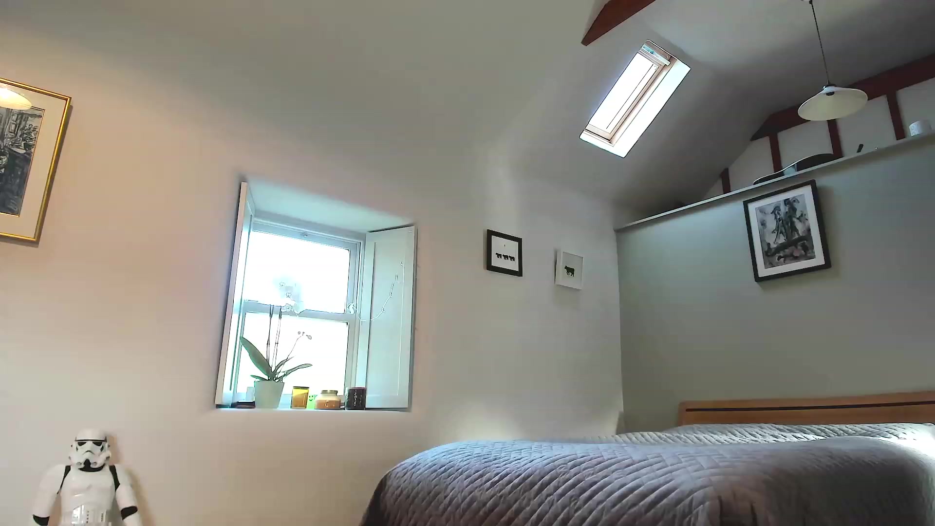 Gallery image thumbnail from Amber_Fry's myfreecams stream on, 11/23/2022, 14:03 image 7 of 20