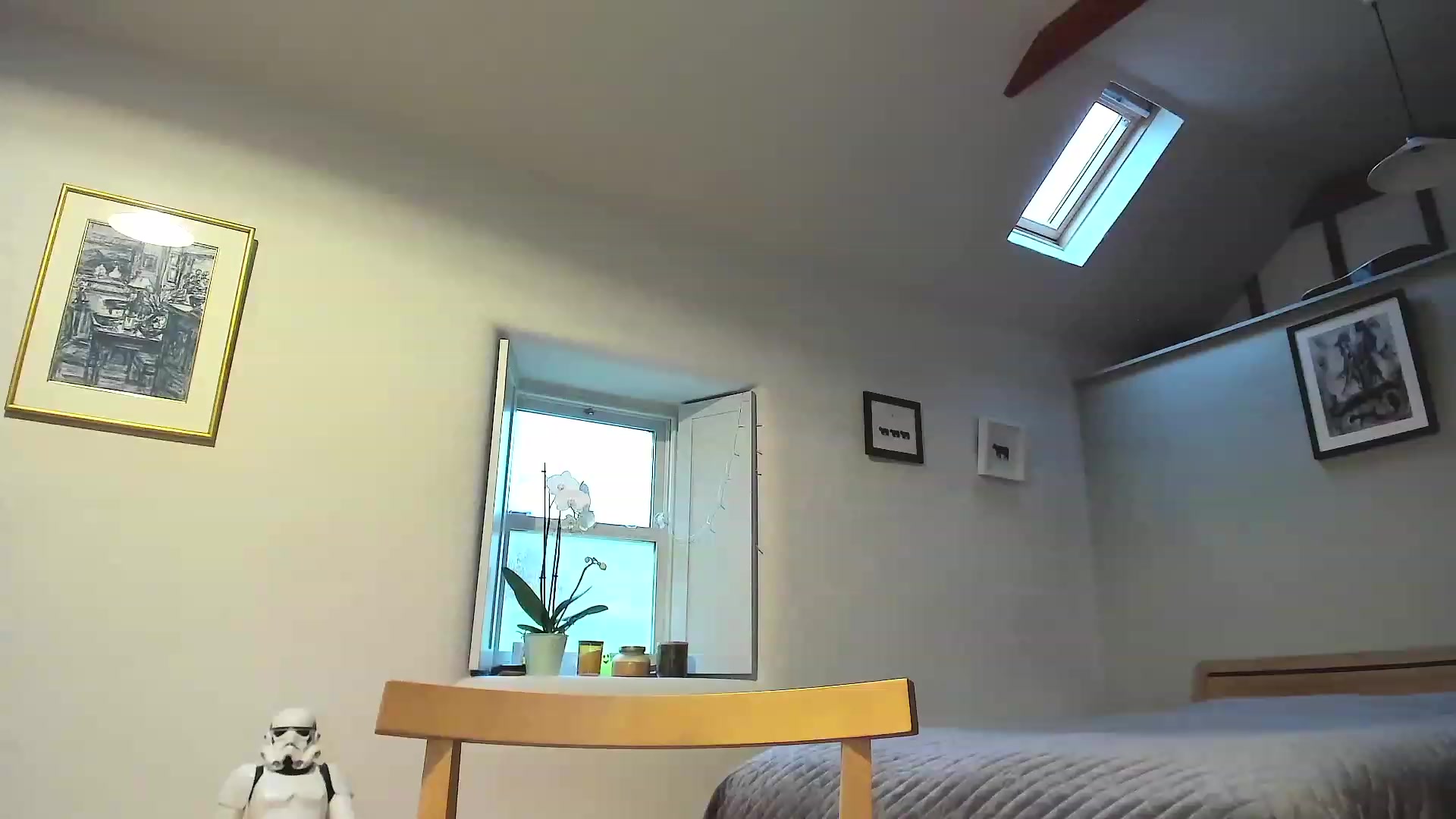Gallery image thumbnail from Amber_Fry's myfreecams stream on, 11/23/2022, 15:36 image 7 of 20