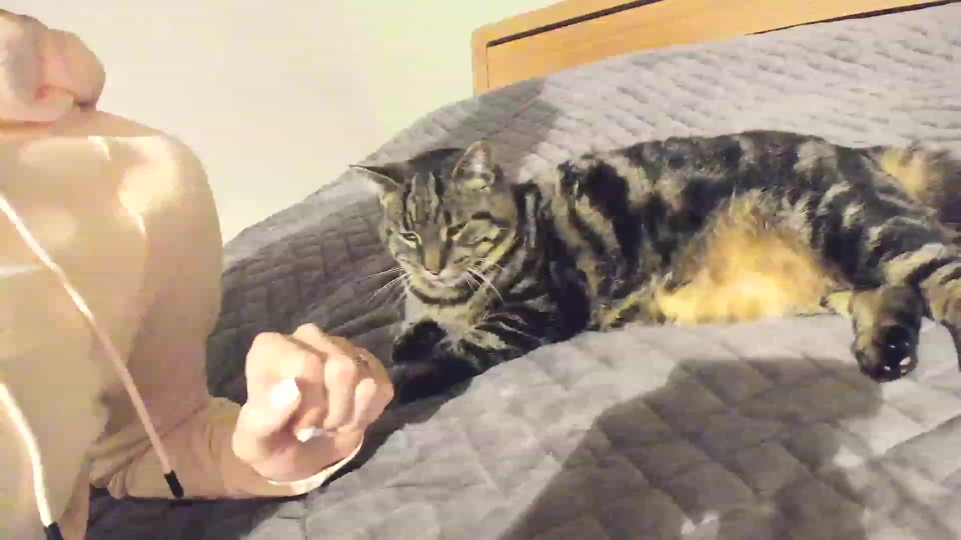 Gallery image thumbnail from Amber_Fry's myfreecams stream on, 11/28/2022, 23:04 image 14 of 20