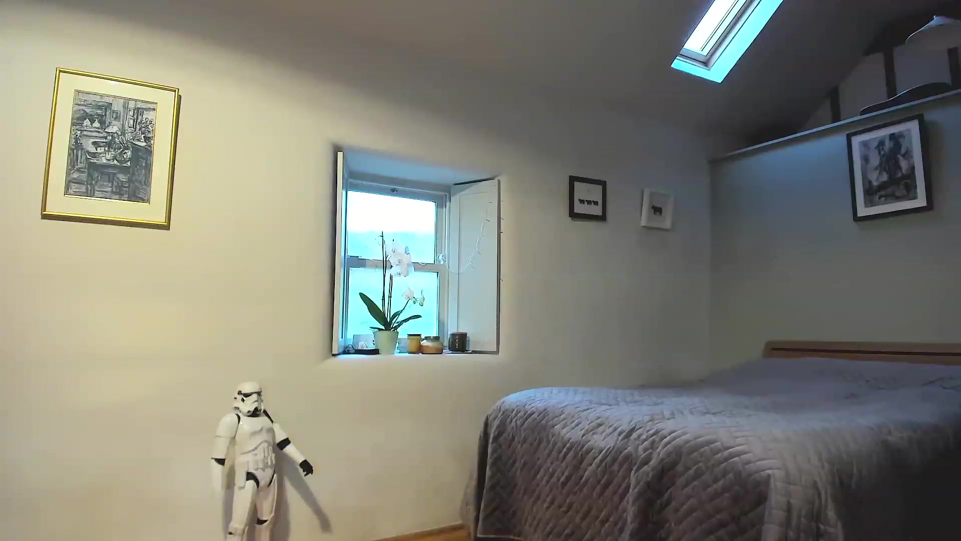Gallery image thumbnail from Amber_Fry's myfreecams stream on, 12/03/2022, 17:07 image 6 of 20