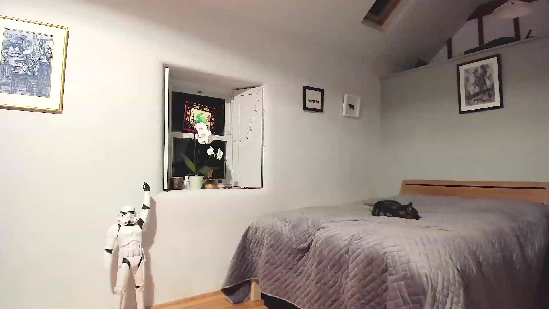 Gallery image thumbnail from Amber_Fry's myfreecams stream on, 12/06/2022, 23:00 image 8 of 20