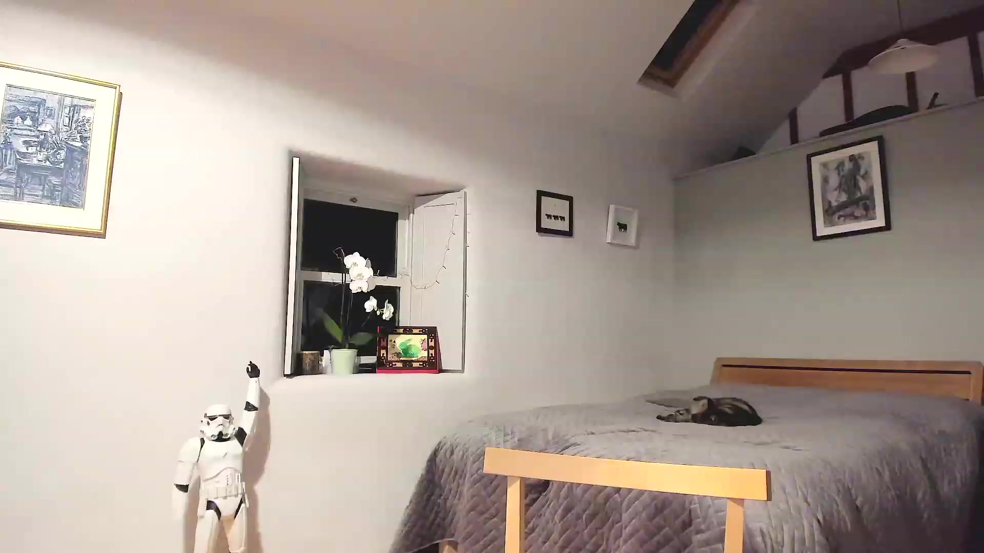 Gallery image thumbnail from Amber_Fry's myfreecams stream on, 12/06/2022, 23:00 image 17 of 20