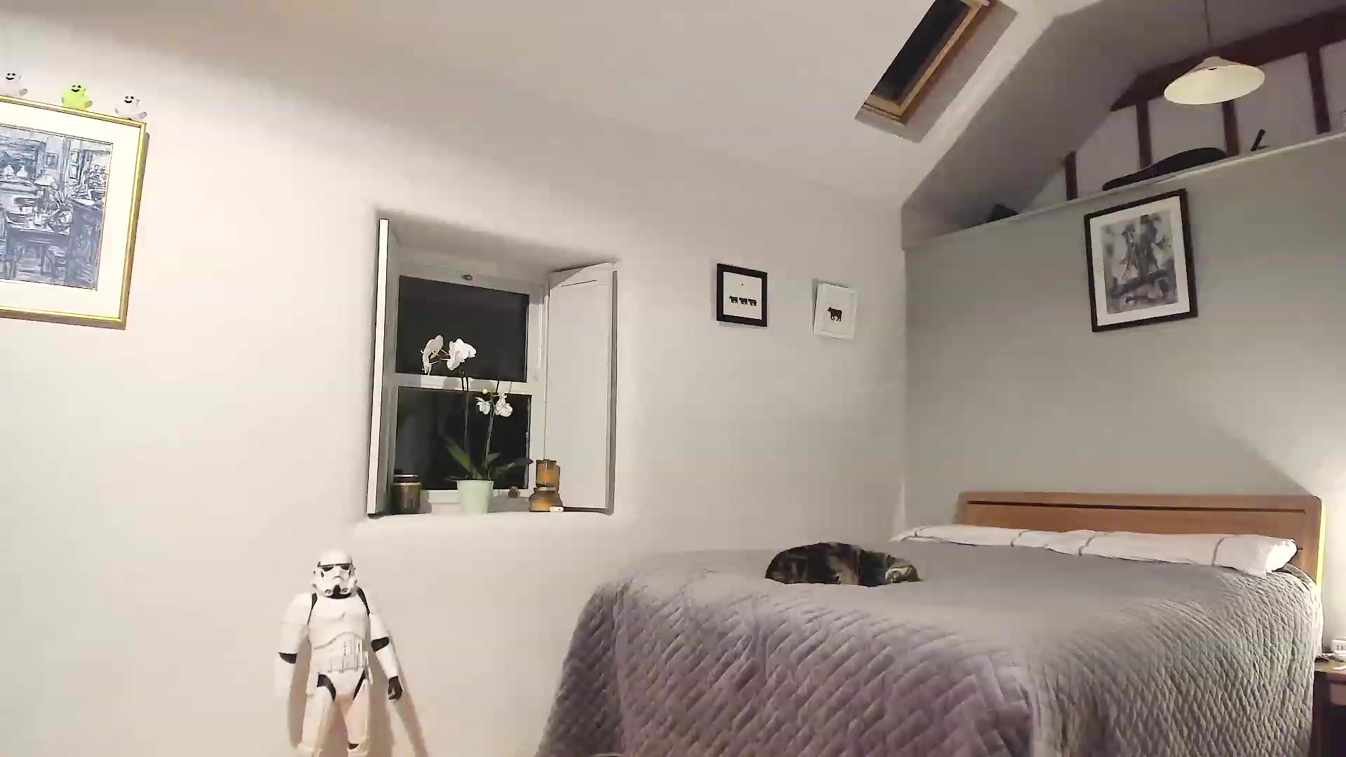 Gallery image thumbnail from Amber_Fry's myfreecams stream on, 12/08/2022, 22:22 image 15 of 20