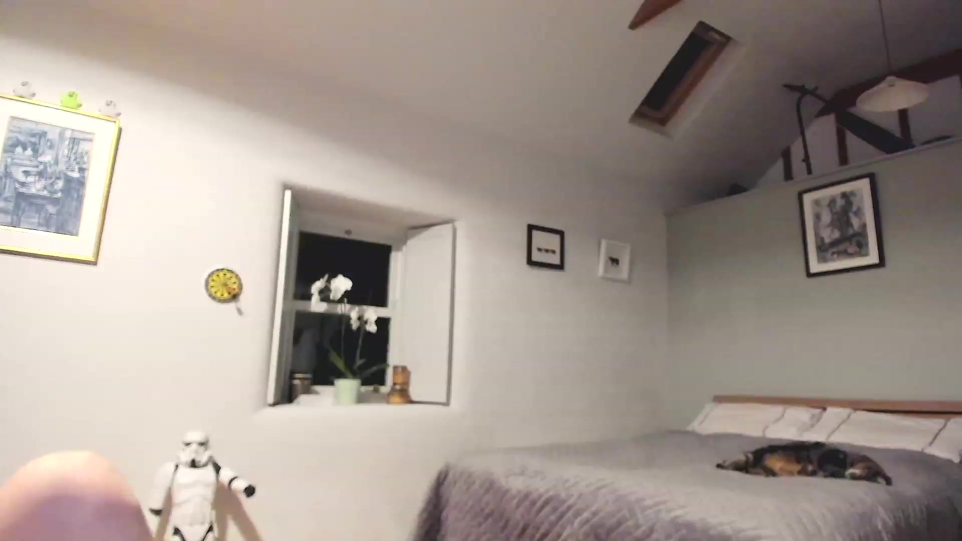 Gallery image thumbnail from Amber_Fry's myfreecams stream on, 12/11/2022, 21:51 image 19 of 20