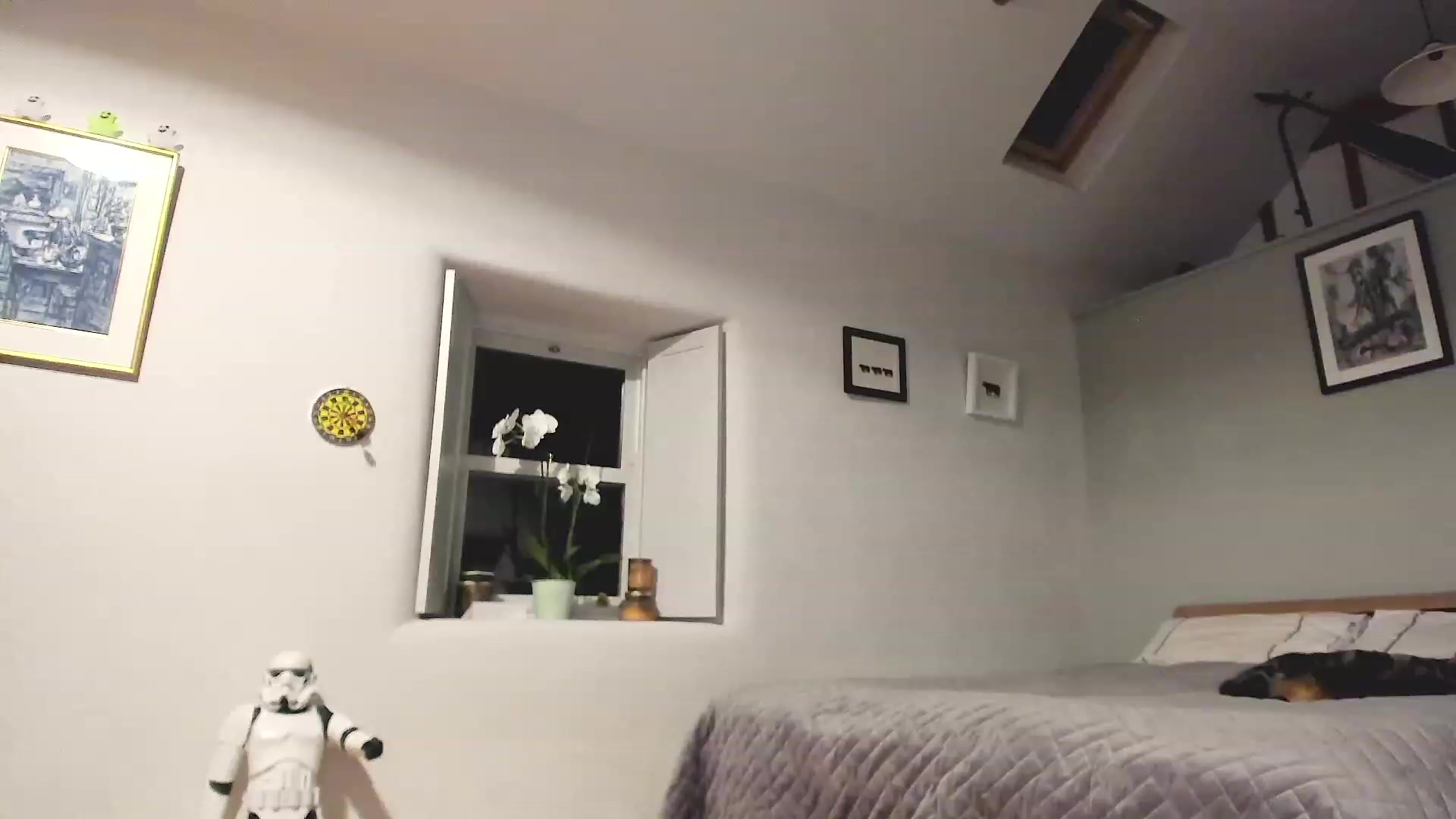 Gallery image thumbnail from Amber_Fry's myfreecams stream on, 12/11/2022, 21:51 image 16 of 20