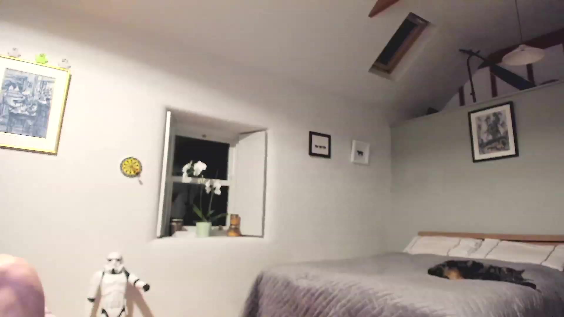 Gallery image thumbnail from Amber_Fry's myfreecams stream on, 12/11/2022, 21:51 image 18 of 20