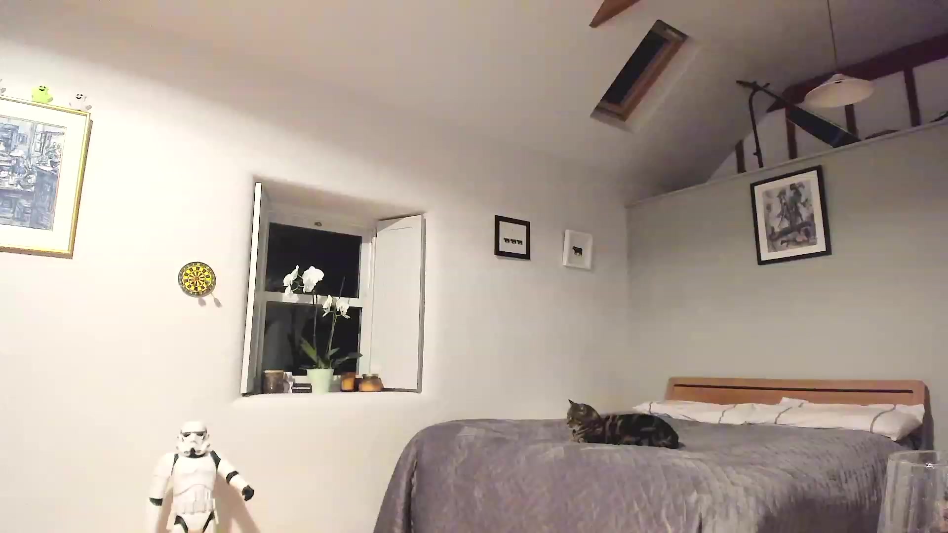 Gallery image thumbnail from Amber_Fry's myfreecams stream on, 12/16/2022, 22:14 image 8 of 20