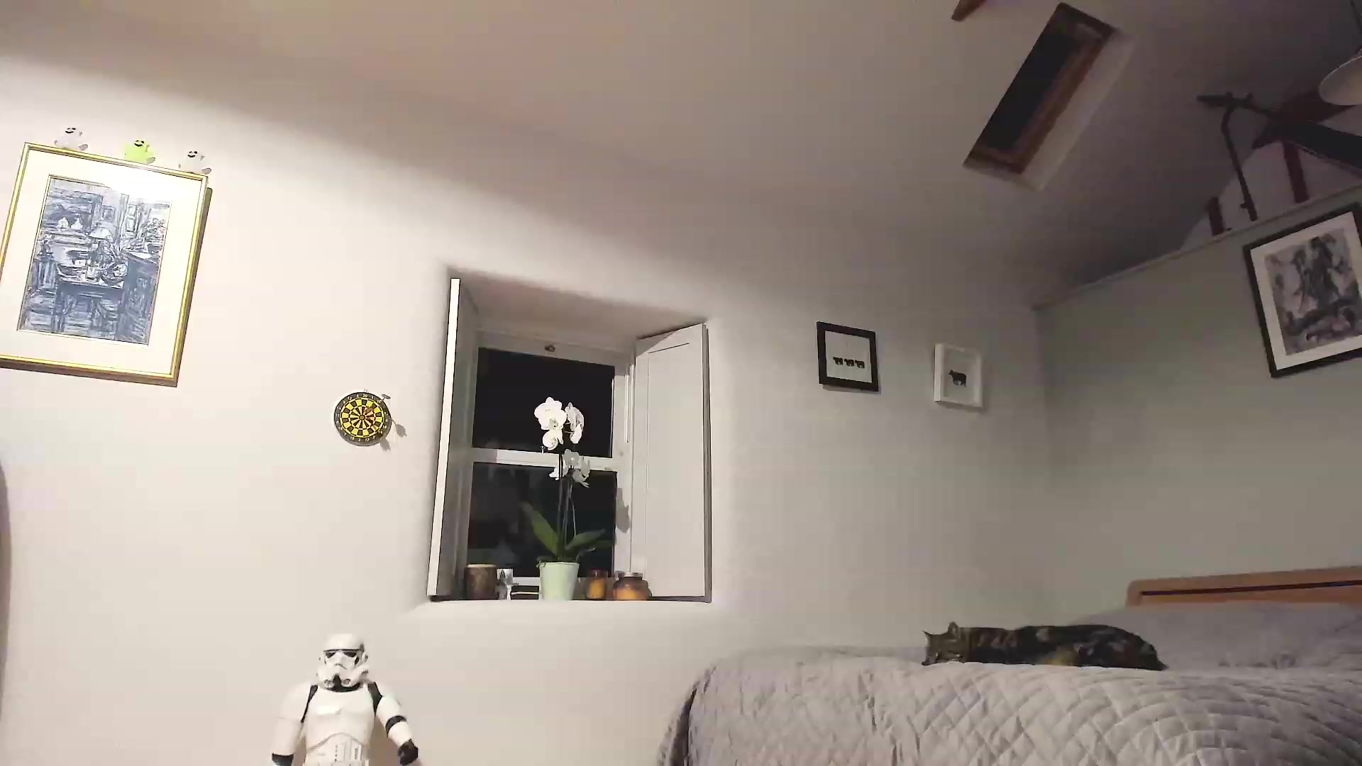 Gallery image thumbnail from Amber_Fry's myfreecams stream on, 12/18/2022, 23:16 image 4 of 20