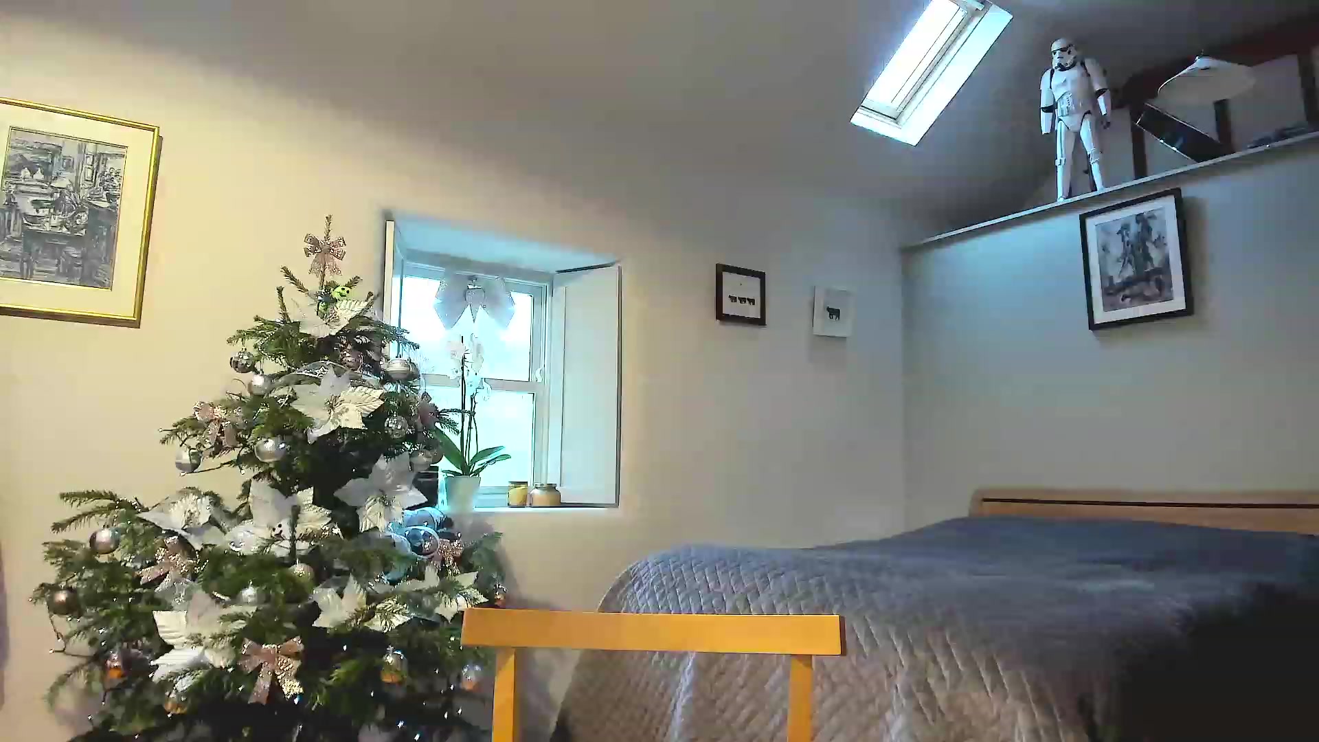 Gallery image thumbnail from Amber_Fry's myfreecams stream on, 12/25/2022, 15:19 image 17 of 20