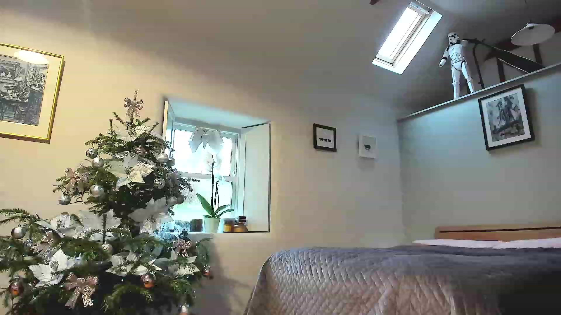 Gallery image thumbnail from Amber_Fry's myfreecams stream on, 12/31/2022, 15:16 image 5 of 20