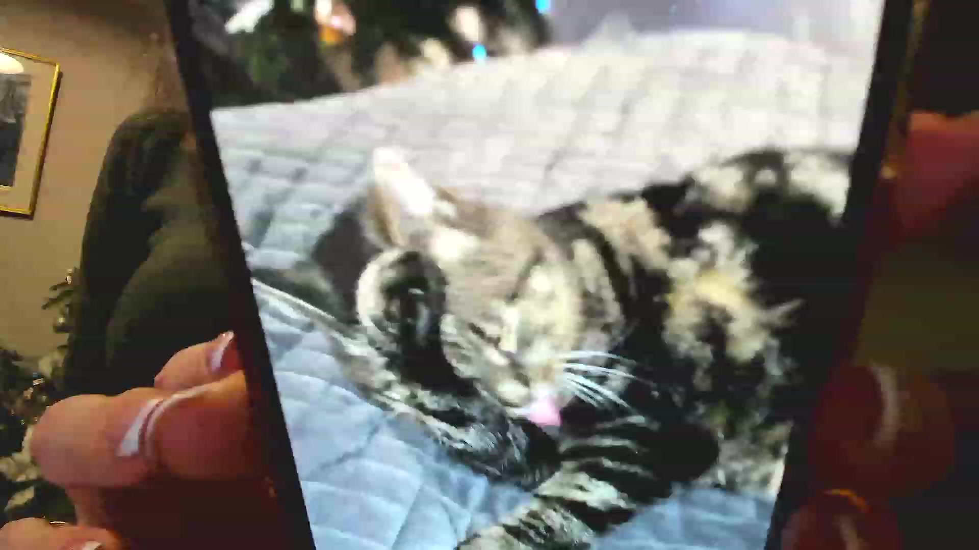 Gallery image thumbnail from Amber_Fry's myfreecams stream on, 01/01/2023, 22:56 image 14 of 20