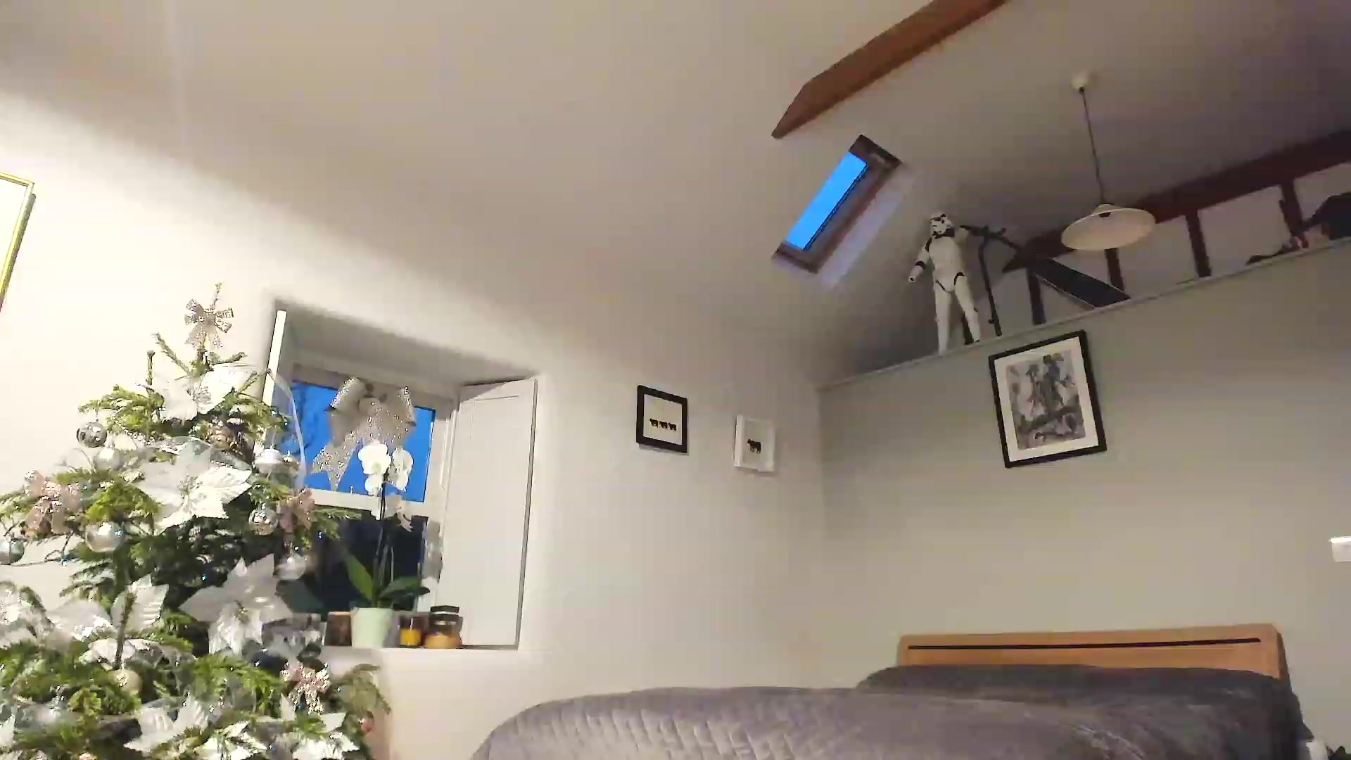 Gallery image thumbnail from Amber_Fry's myfreecams stream on, 01/03/2023, 17:25 image 6 of 20